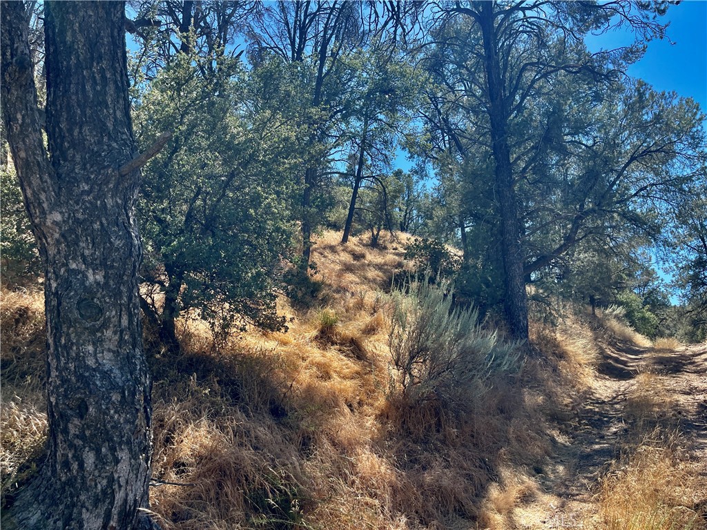0 Short Trail Property Photo 3