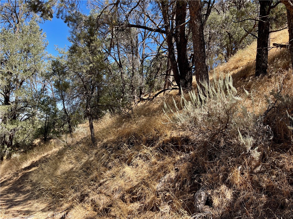 0 Short Trail Property Photo 7