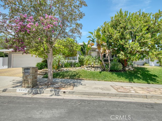 4443 Callada Property Photo 1