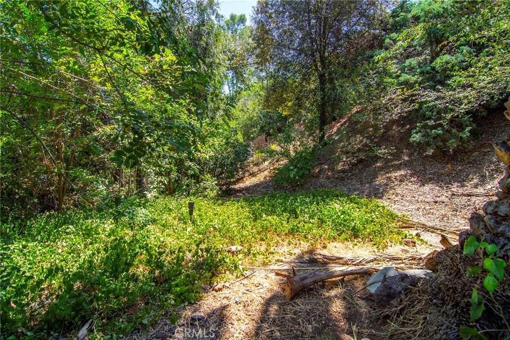 5614 Oso Avenue Property Photo 23