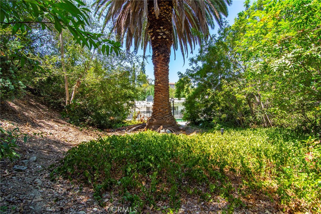 5614 Oso Avenue Property Photo 24