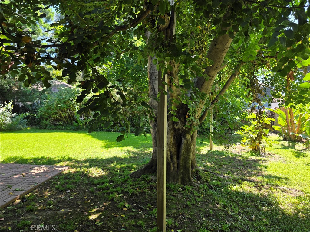 14954 Wyandotte St Property Photo 3