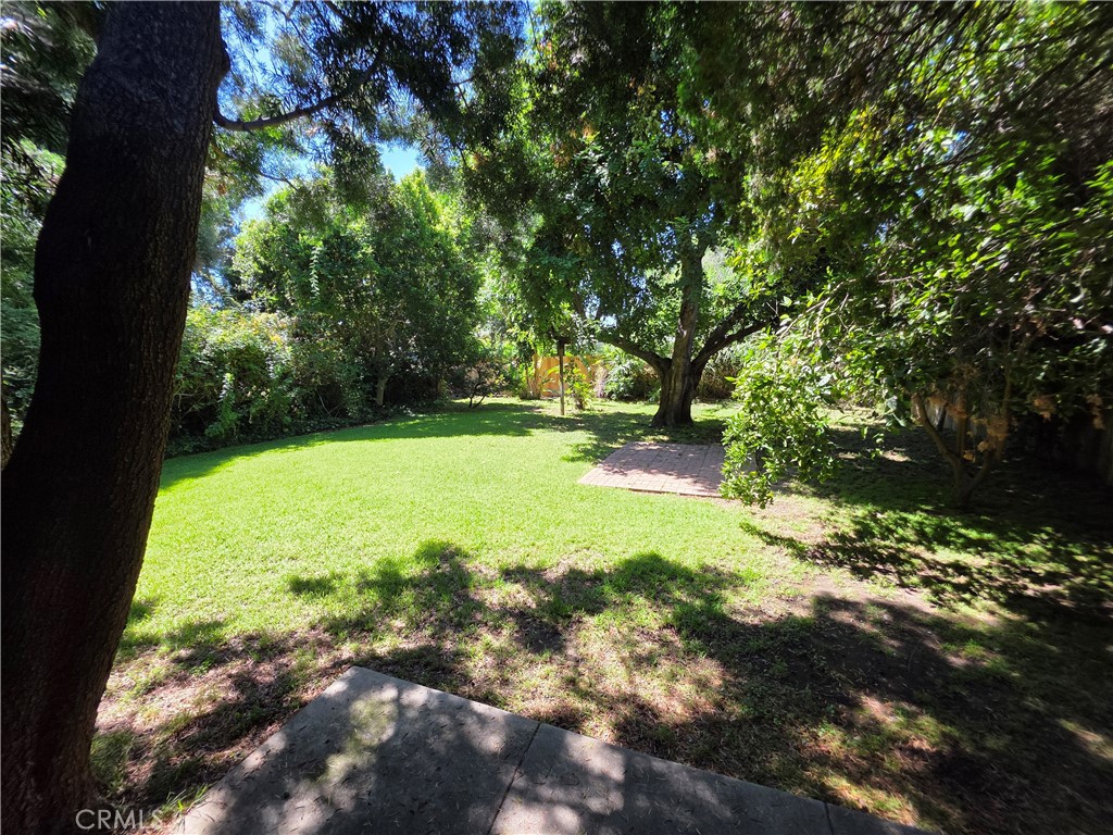 14954 Wyandotte St Property Photo 16