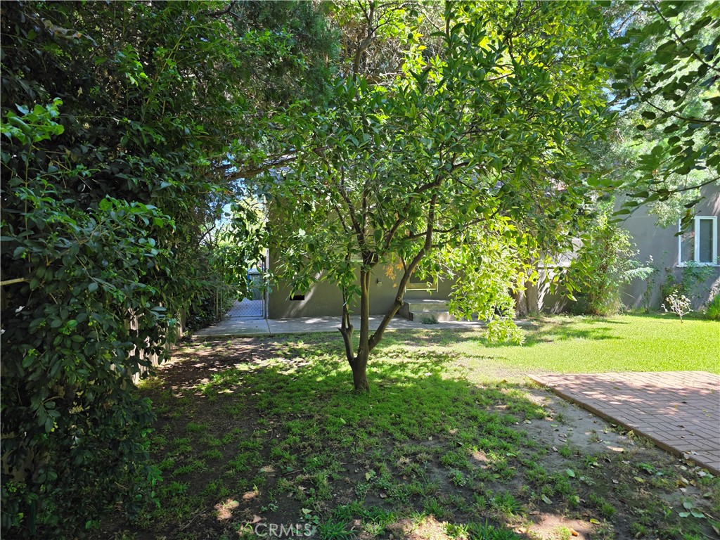 14954 Wyandotte St Property Photo 18