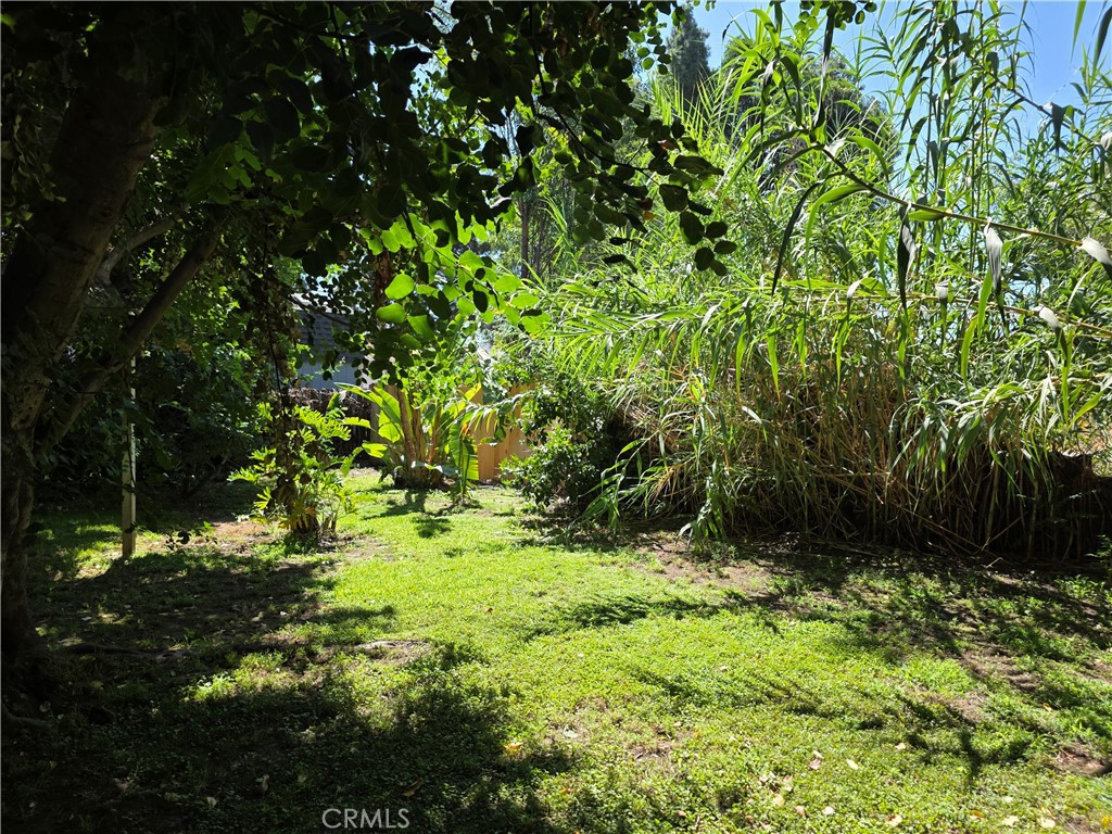 14954 Wyandotte St Property Photo 20
