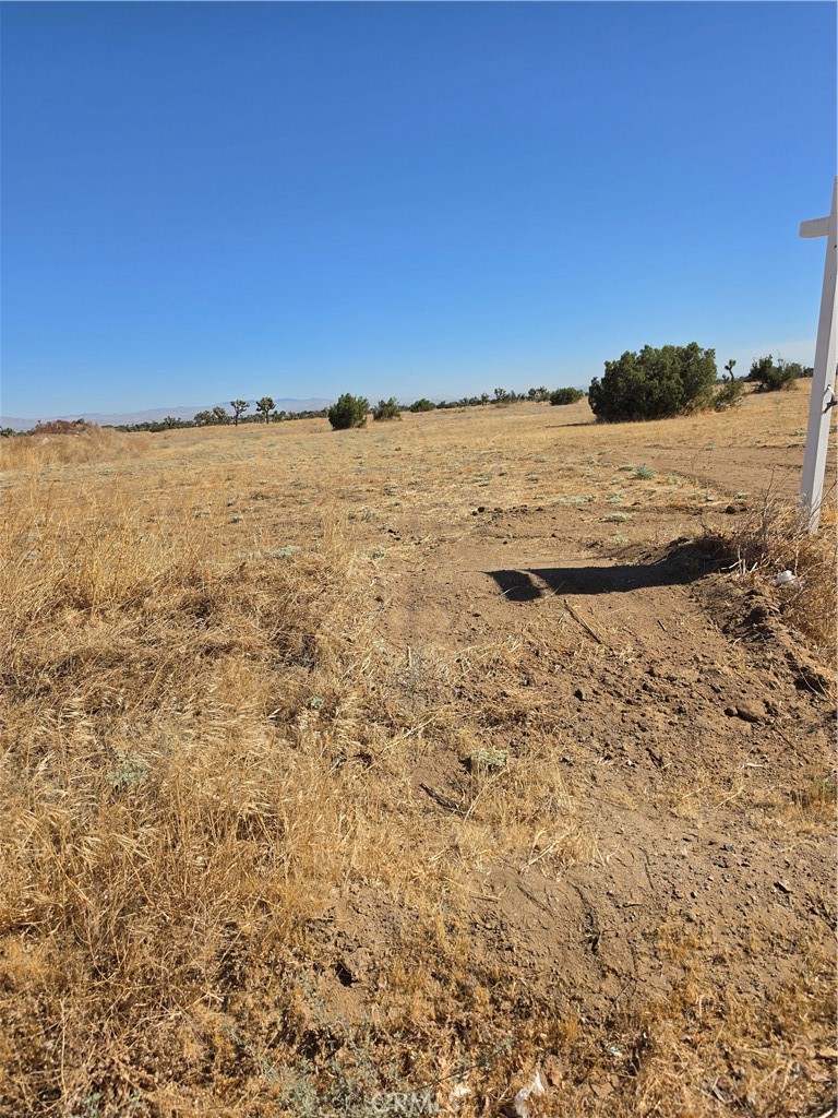 0 Vac Avenue N Property Photo 3