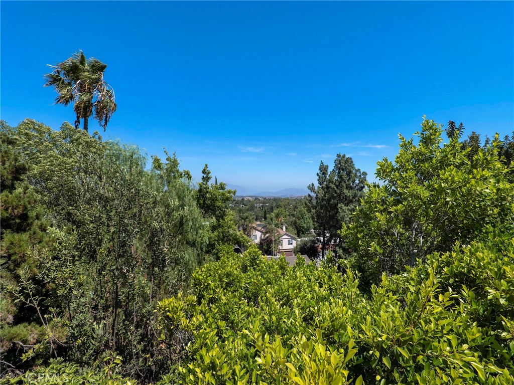 12602 Henzie Place Property Photo 34
