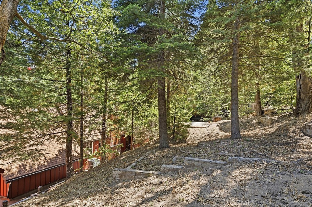 118 E Lane Property Photo 60