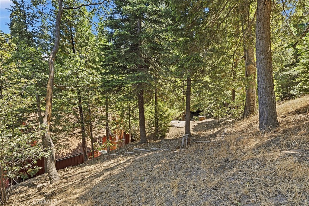 118 E Lane Property Photo 61