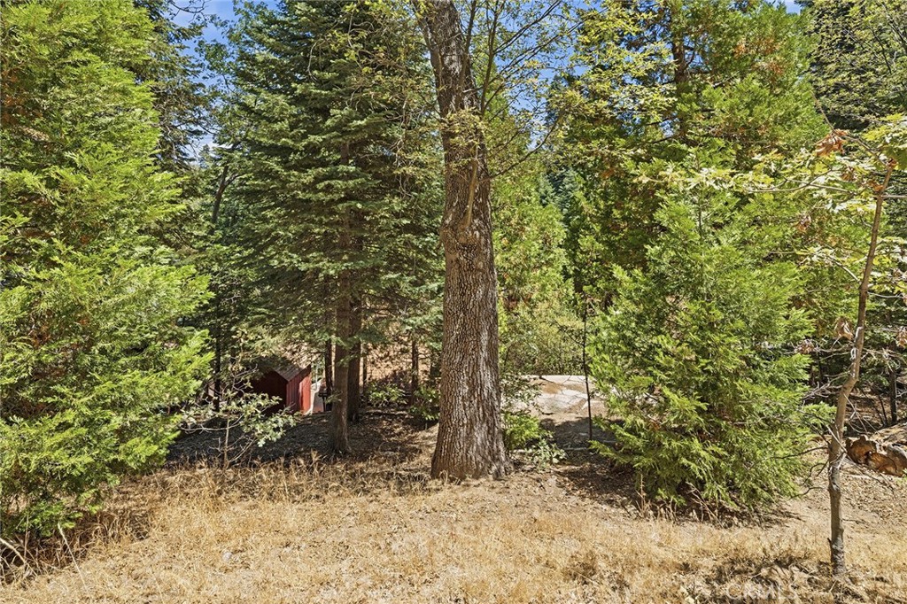 118 E Lane Property Photo 62
