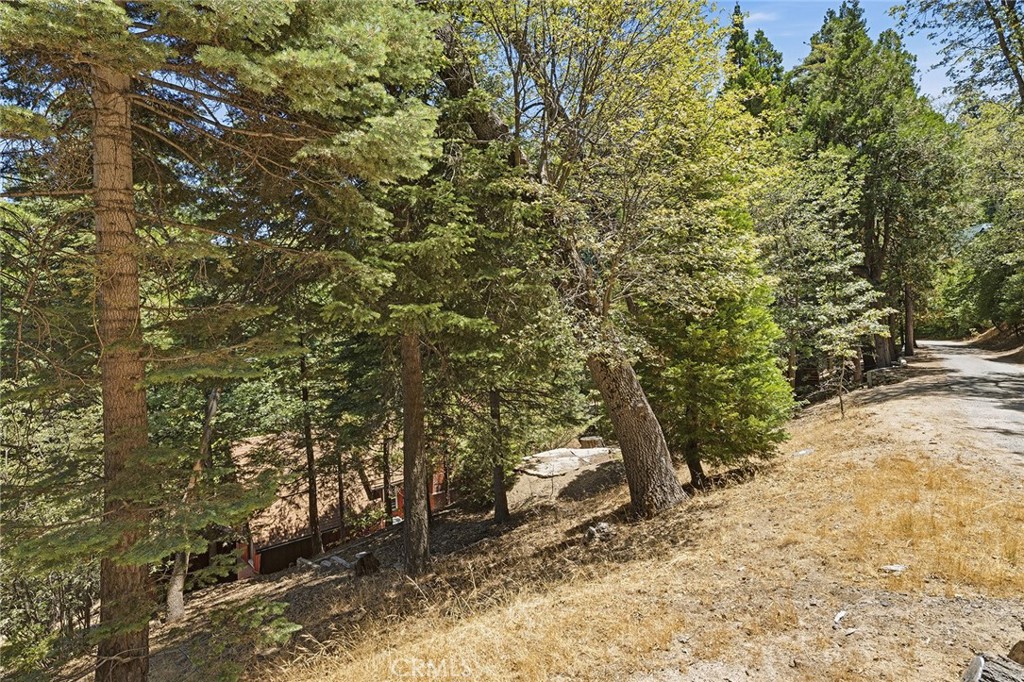 118 E Lane Property Photo 63