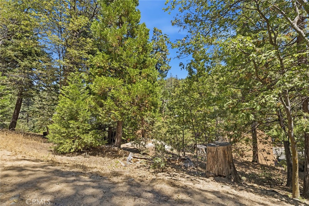 118 E Lane Property Photo 64
