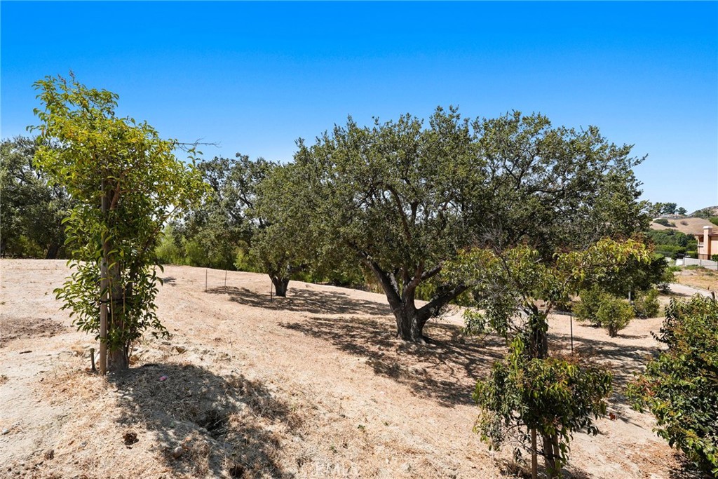 18169 Knoll Hill Property Photo 45