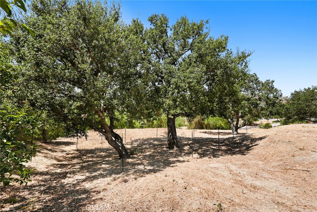 18169 Knoll Hill Property Photo 48