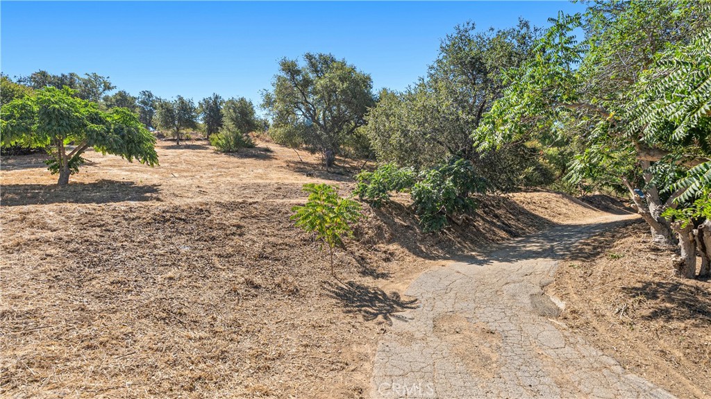 1194 Black Canyon Property Photo 3