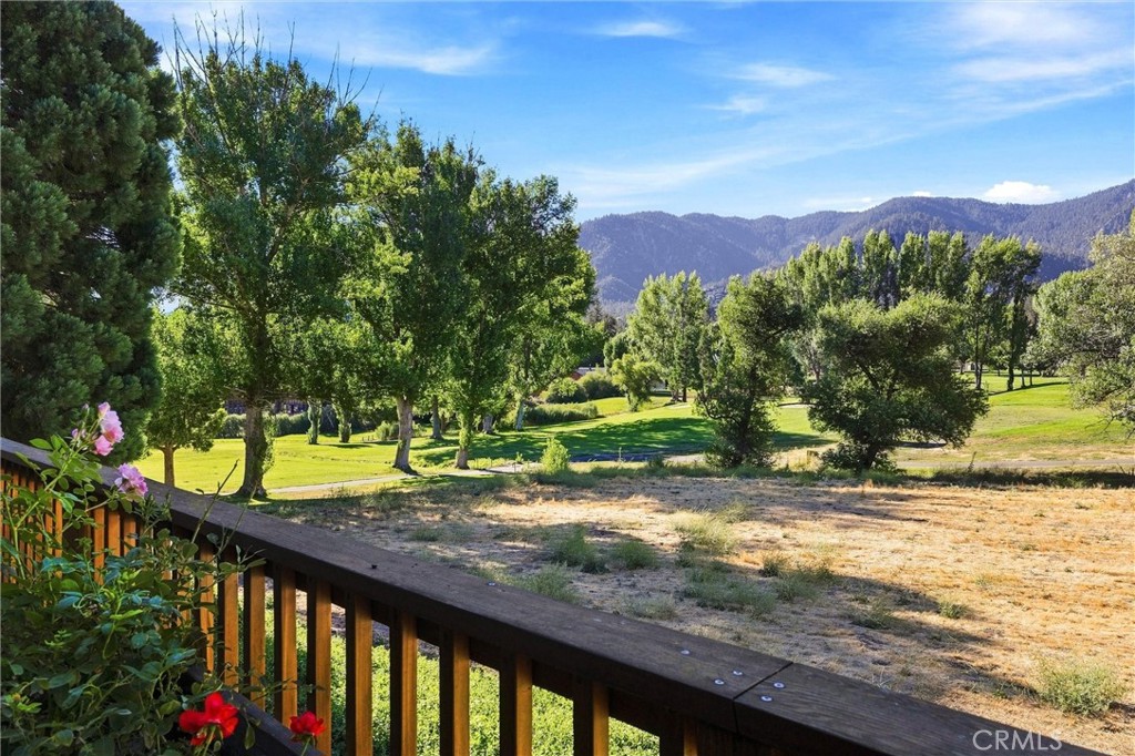 16316 Aleutian Drive Property Photo 8