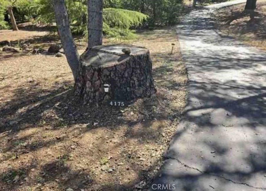 4175 Vega Property Photo 5