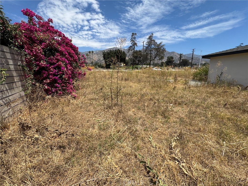 16 E Altadena Drive Property Photo 5