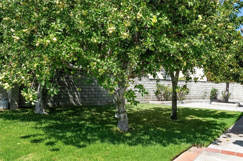 25302 Joyce Property Photo 41
