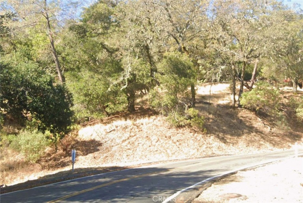 226 Circle Oaks Drive Property Photo 2