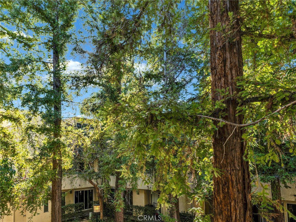 7800 Topanga Canyon Boulevard 216 Property Photo 30