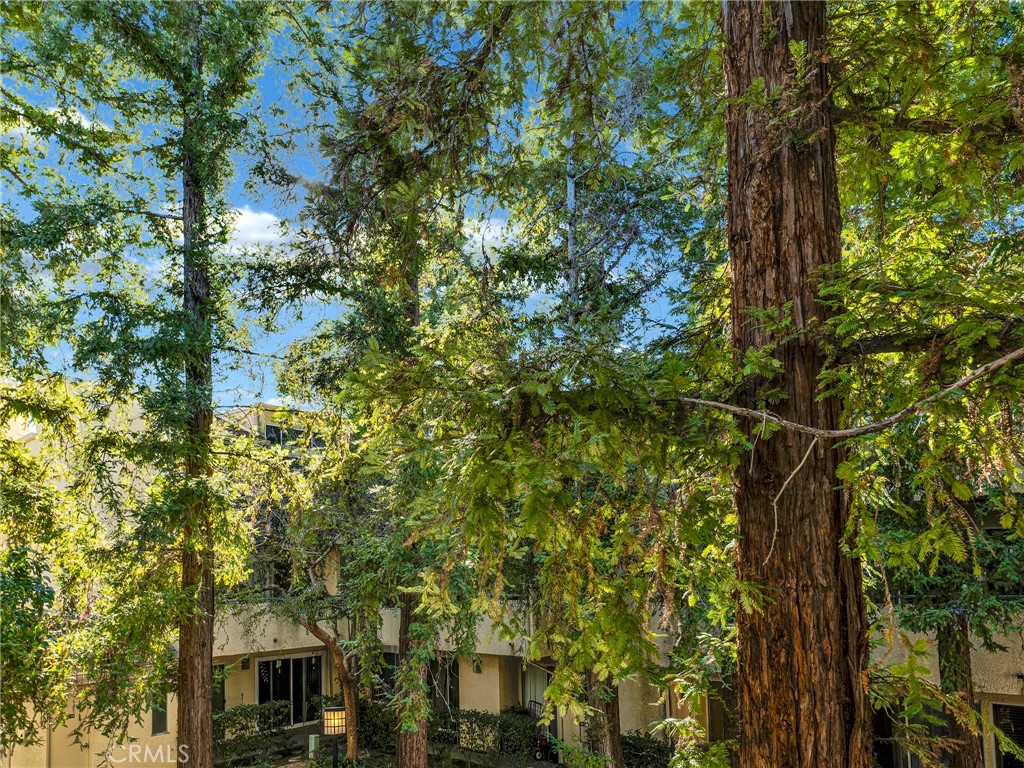7800 Topanga Canyon Boulevard 216 Property Photo 38