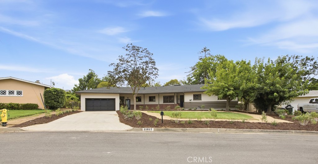 11817 Peach Tree Circle Property Photo 1