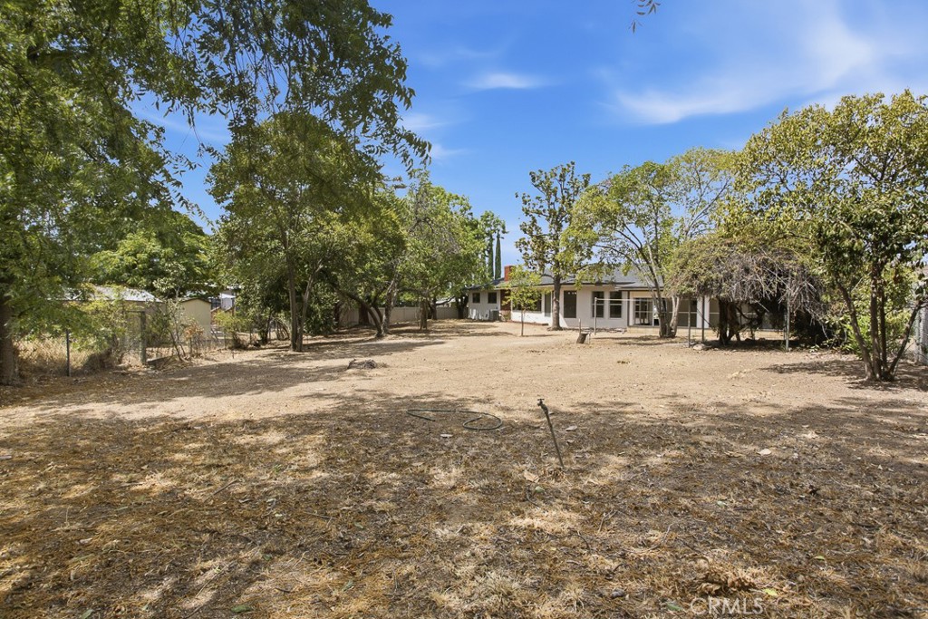 11817 Peach Tree Circle Property Photo 37