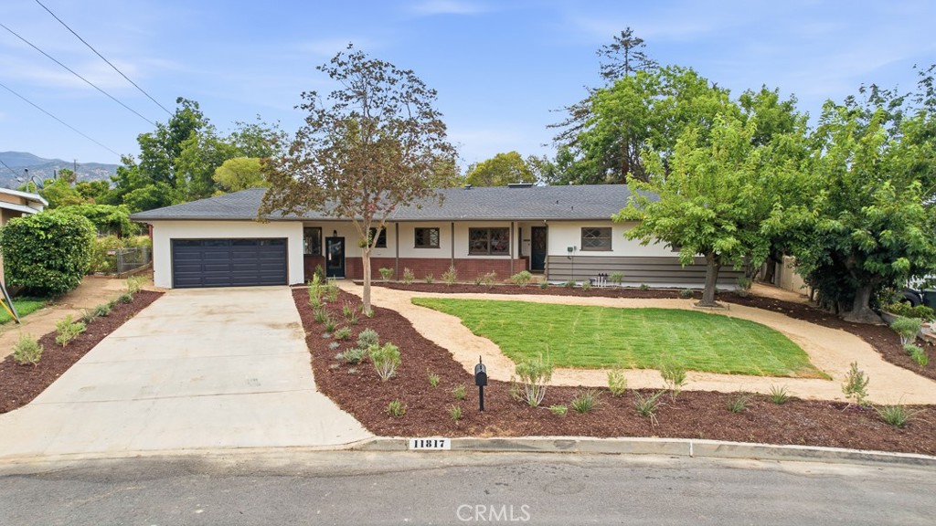 11817 Peach Tree Circle Property Photo 40