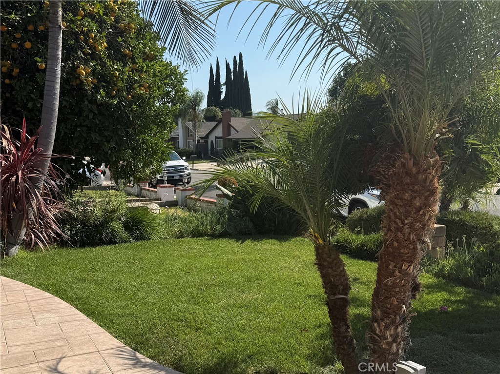 1860 Claudia Ave. Property Photo 4