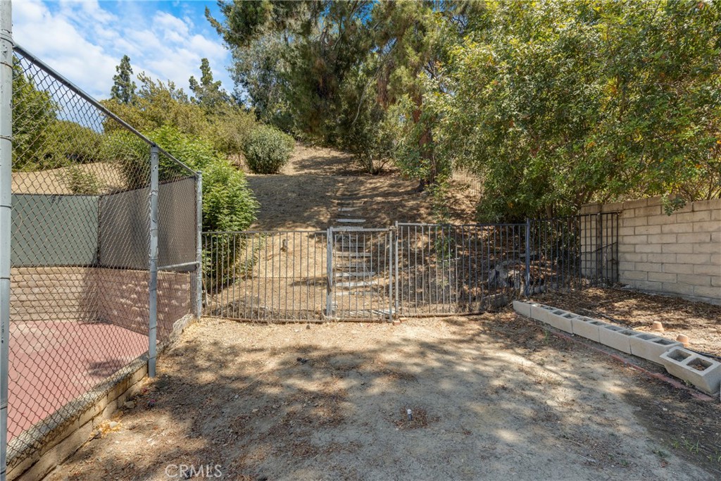 21335 Dove Property Photo 36