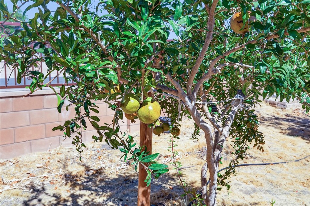 18269 Manzanita Property Photo 22