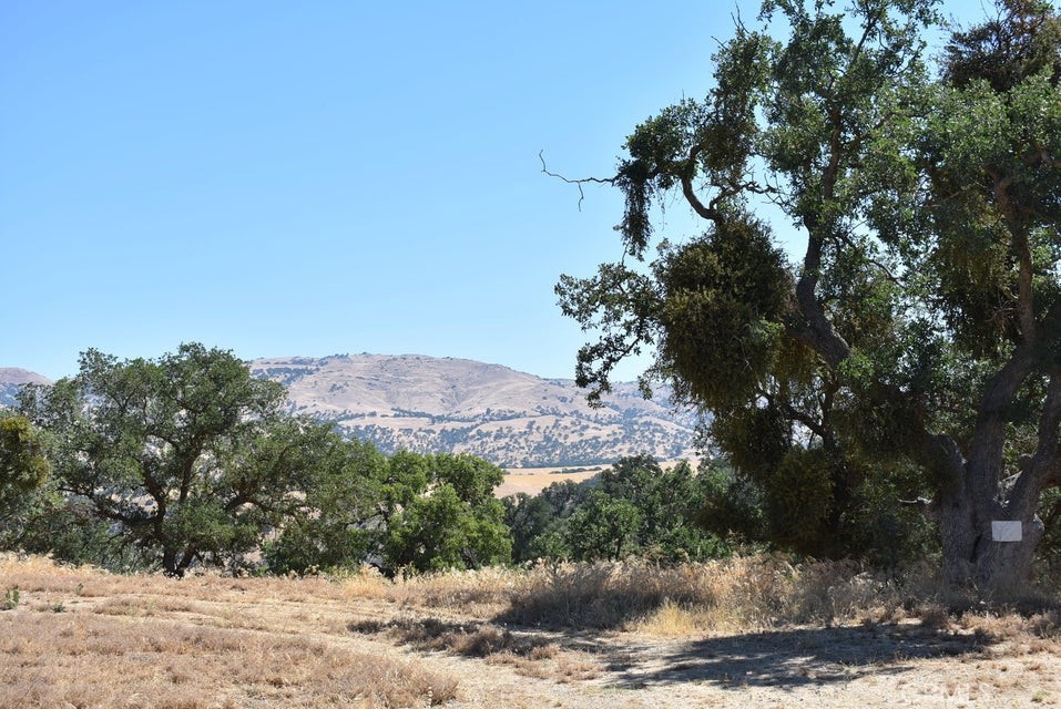 22948 Rim Property Photo 1