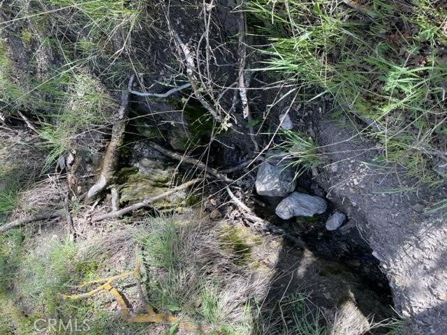 22948 Rim Property Photo 5