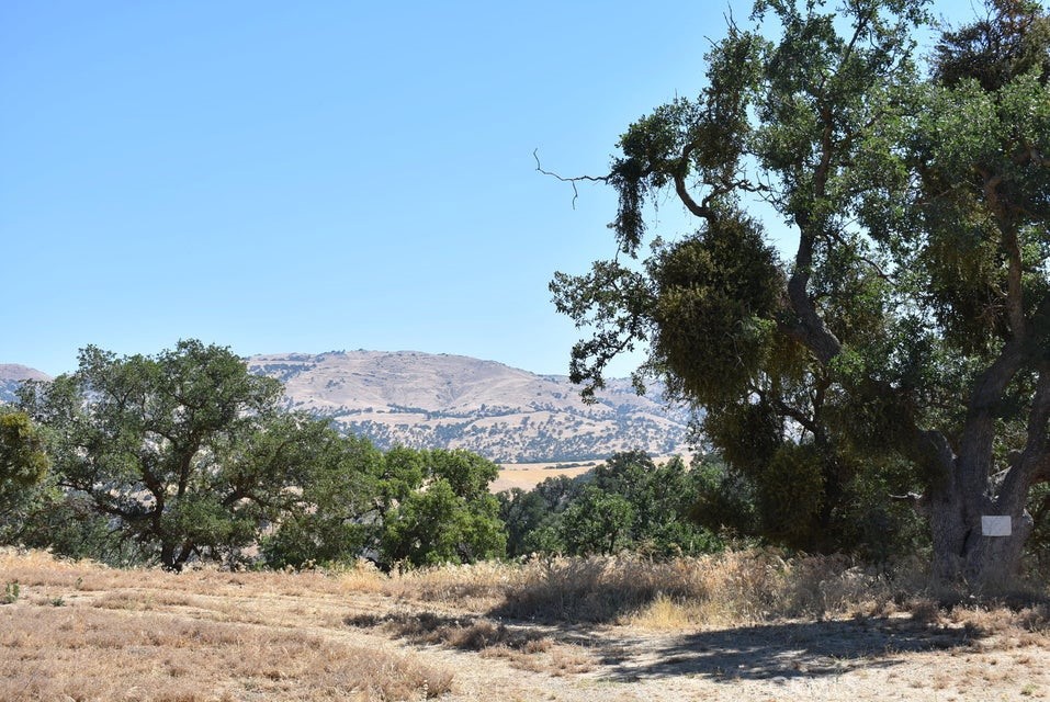 22948 Rim Property Photo 10