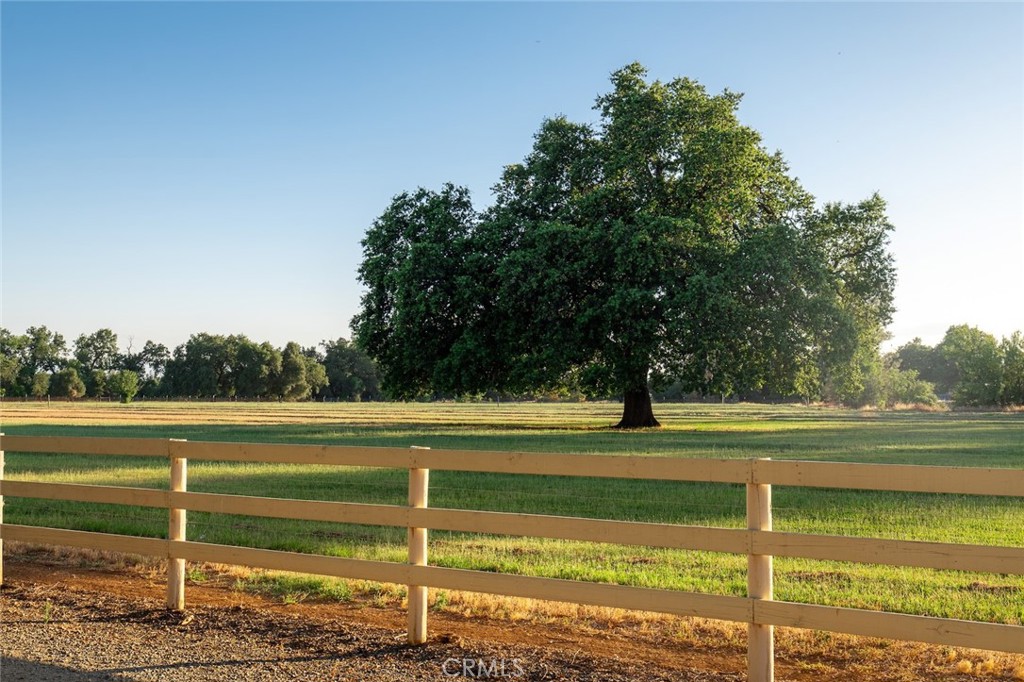5521 Churn Creek Road Property Photo 4