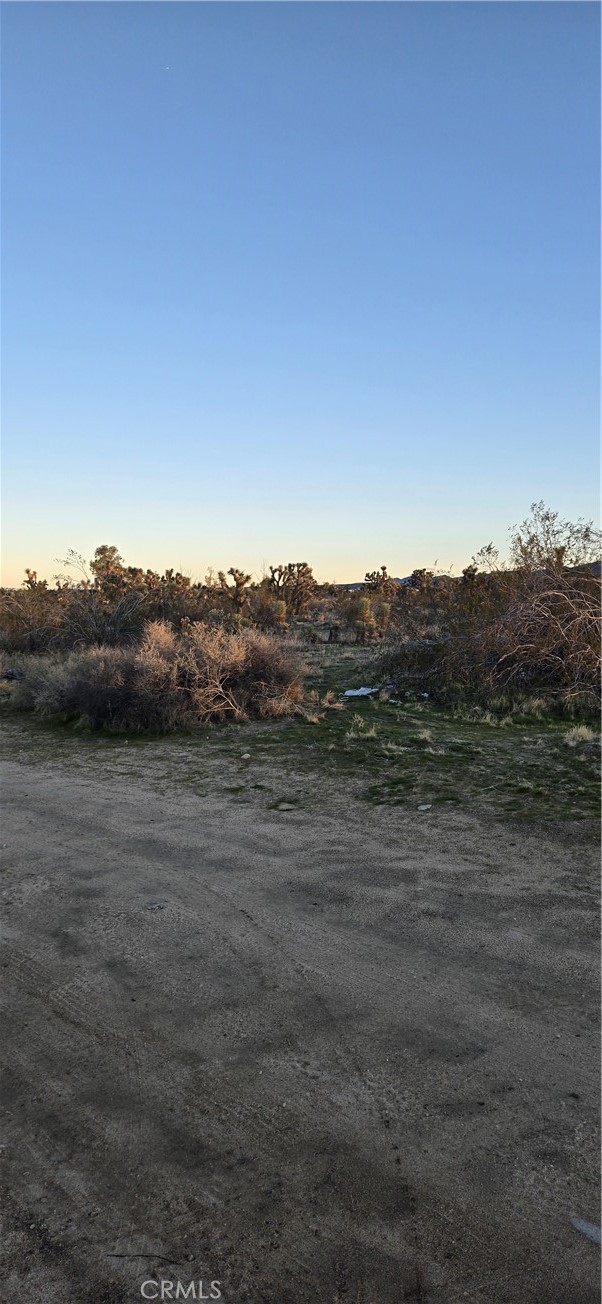 253 Vac/vic Property Photo 3