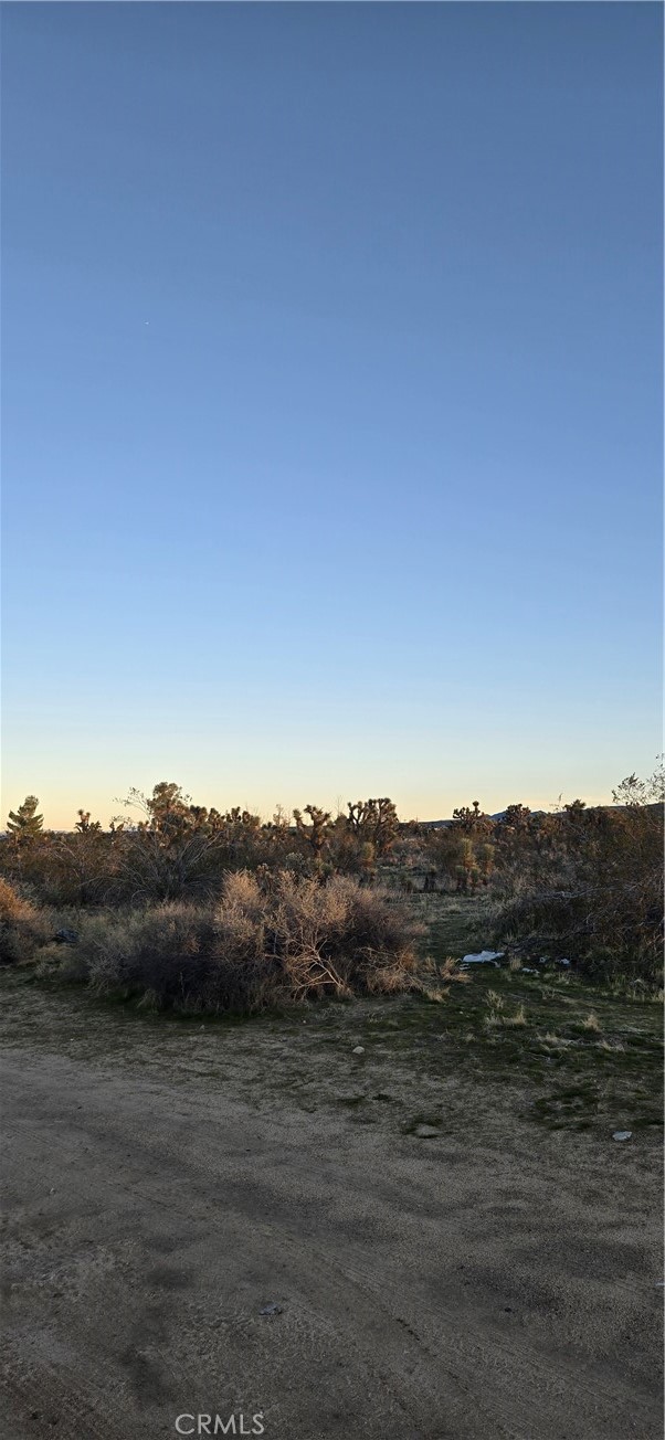 253 Vac/vic Property Photo 4
