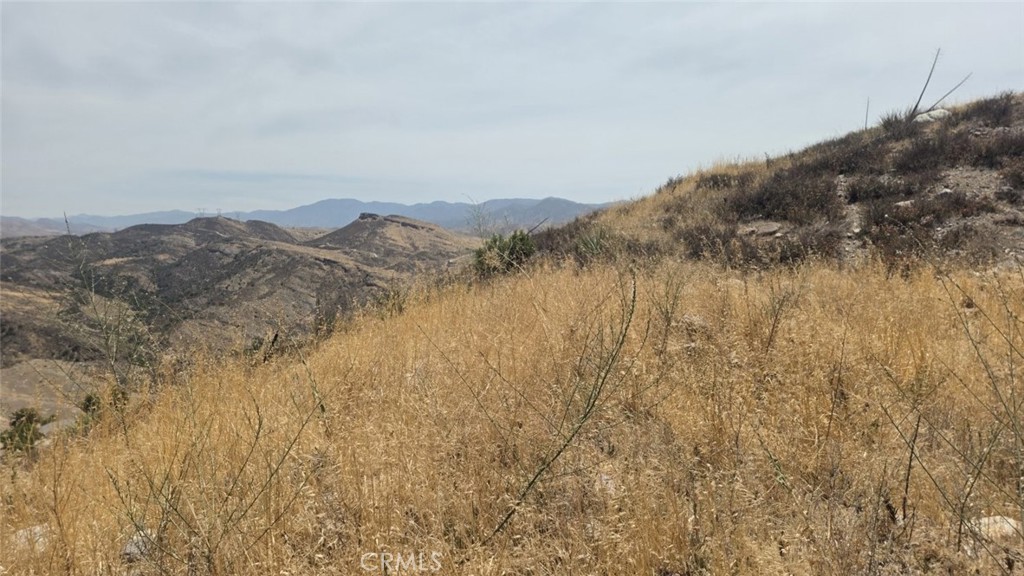 0 Agua Dulce Property Photo 3