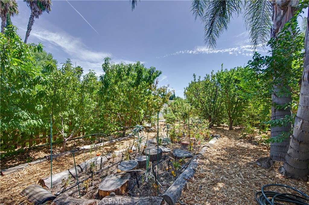7329 Sausalito Property Photo 25