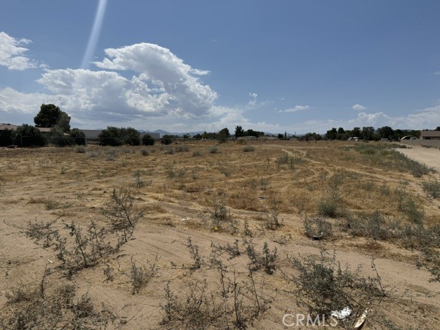 1610 W Ave L Property Photo 5