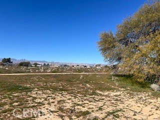 1234 Medio Property Photo 2