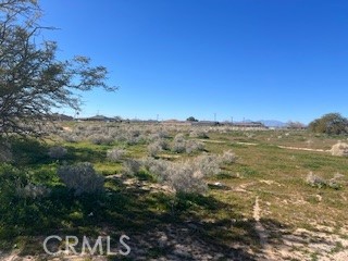 1234 Medio Property Photo 4