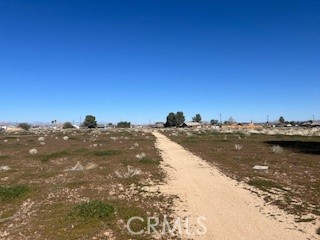 1234 Medio Property Photo 5