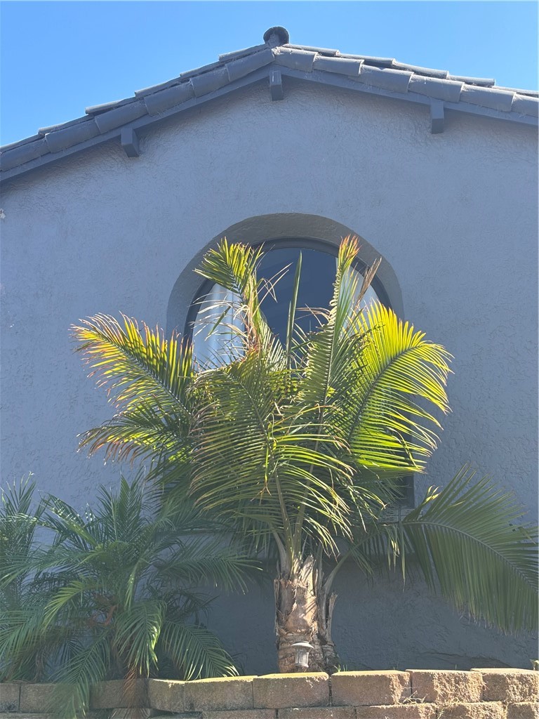 3208 W 74th Street Property Photo 7