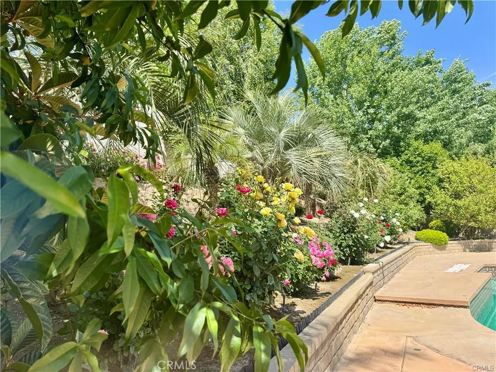 25453 Via Novia Property Photo 32