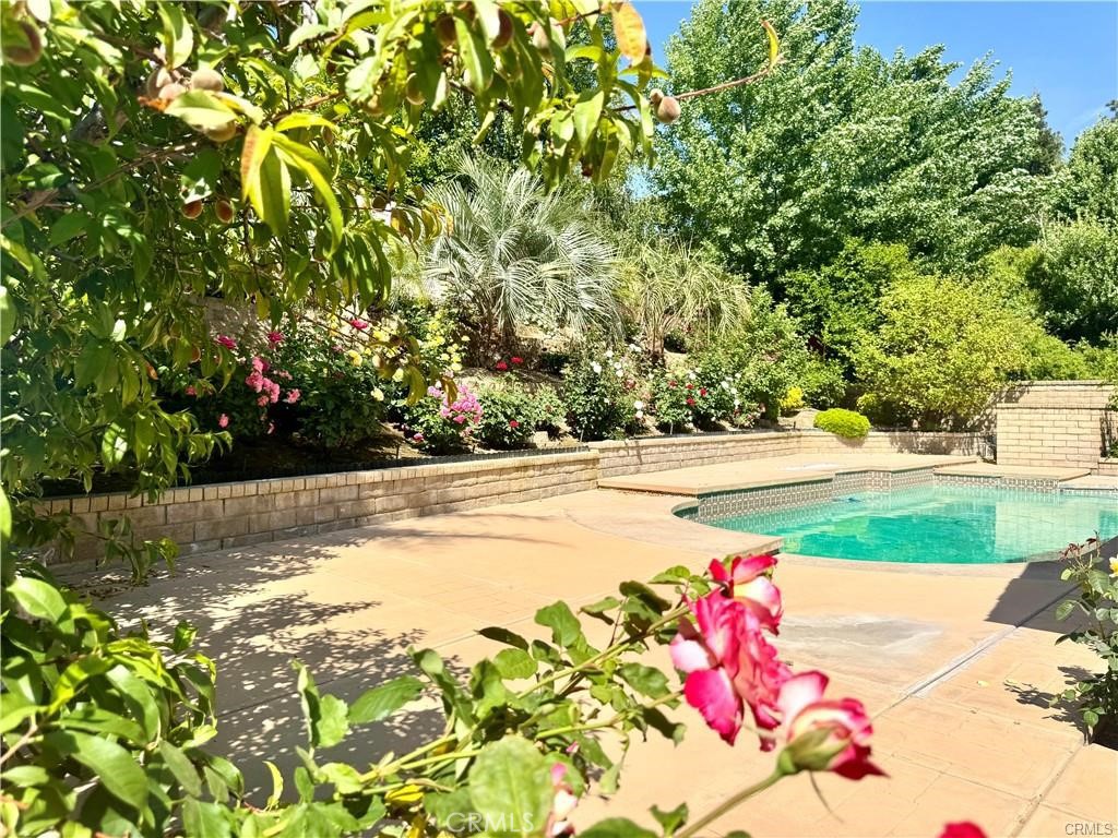 25453 Via Novia Property Photo 33