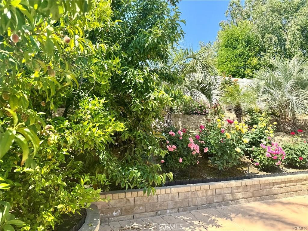25453 Via Novia Property Photo 35