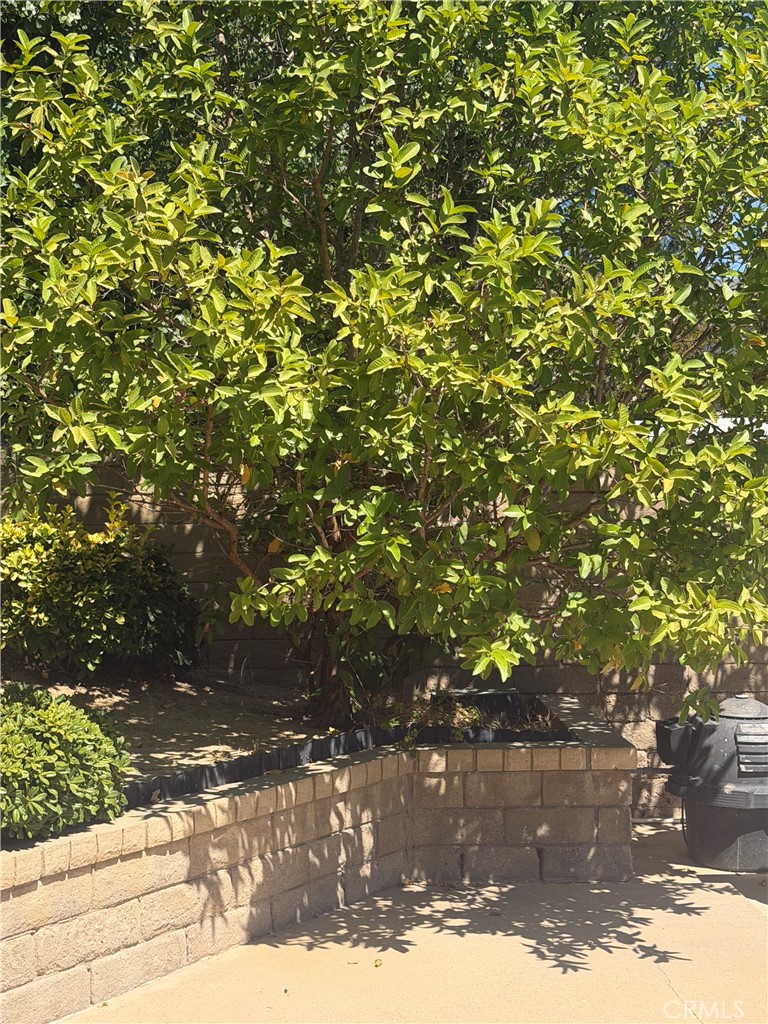 25453 Via Novia Property Photo 50