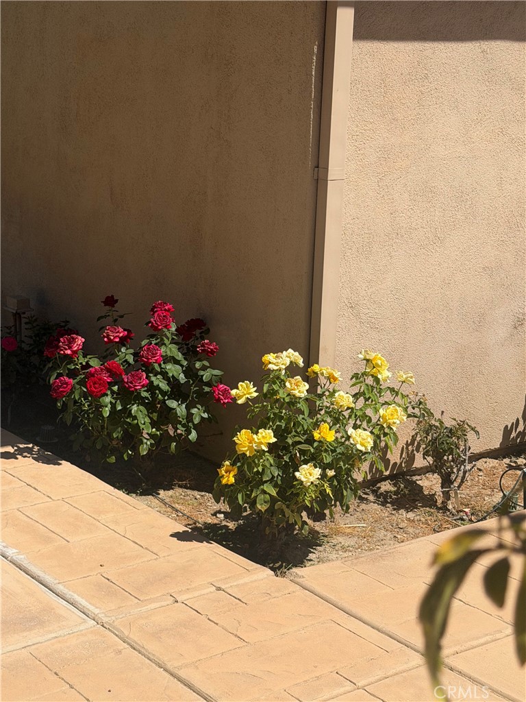 25453 Via Novia Property Photo 52